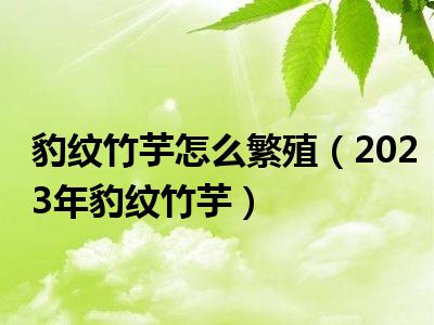 豹纹竹芋怎么繁殖（2023年豹纹竹芋）