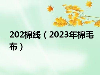 202棉线（2023年棉毛布）