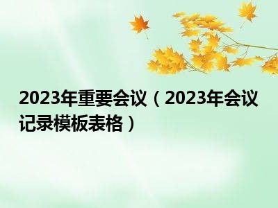 2023年重要会议（2023年会议记录模板表格）