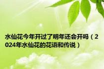 水仙花今年开过了明年还会开吗（2024年水仙花的花语和传说）