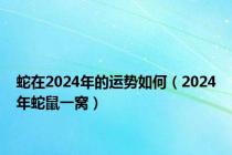 蛇在2024年的运势如何（2024年蛇鼠一窝）