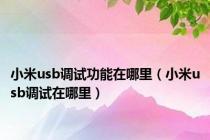 小米usb调试功能在哪里（小米usb调试在哪里）