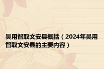 吴用智取文安县概括（2024年吴用智取文安县的主要内容）