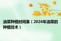 油菜种植时间表（2024年油菜的种植技术）