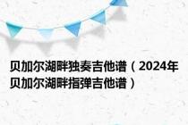 贝加尔湖畔独奏吉他谱（2024年贝加尔湖畔指弹吉他谱）