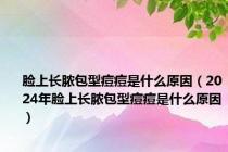 脸上长脓包型痘痘是什么原因（2024年脸上长脓包型痘痘是什么原因）