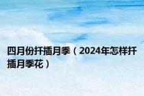 四月份扦插月季（2024年怎样扦插月季花）