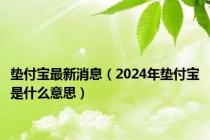 垫付宝最新消息（2024年垫付宝是什么意思）