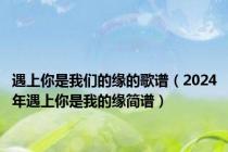 遇上你是我们的缘的歌谱（2024年遇上你是我的缘简谱）