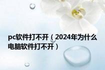 pc软件打不开（2024年为什么电脑软件打不开）