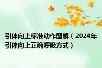 引体向上标准动作图解（2024年引体向上正确呼吸方式）