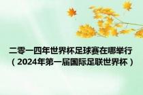 二零一四年世界杯足球赛在哪举行（2024年第一届国际足联世界杯）