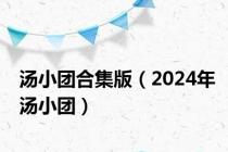 汤小团合集版（2024年汤小团）