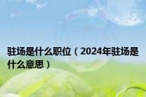 驻场是什么职位（2024年驻场是什么意思）