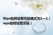 Wps如何设置页码格式为1—1（wps如何设置页码）