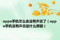 oppo手机怎么会没有声音了（oppo手机没有声音是什么原因）