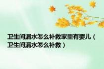 卫生间漏水怎么补救家里有婴儿（卫生间漏水怎么补救）