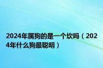 2024年属狗的是一个坎吗（2024年什么狗最聪明）