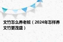 文竹怎么养老桩（2024年怎样养文竹更茂盛）