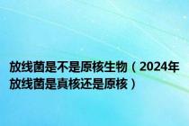 放线菌是不是原核生物（2024年放线菌是真核还是原核）