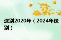 送别2020年（2024年送别）