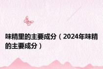 味精里的主要成分（2024年味精的主要成分）