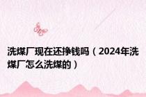 洗煤厂现在还挣钱吗（2024年洗煤厂怎么洗煤的）