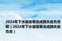 2024年下水道堵塞造成损失谁负责呢（2024年下水道堵塞造成损失谁负责）