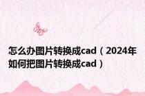 怎么办图片转换成cad（2024年如何把图片转换成cad）