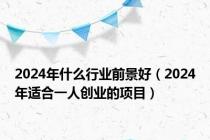 2024年什么行业前景好（2024年适合一人创业的项目）