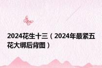 2024花生十三（2024年最紧五花大绑后背图）