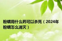 粉螨用什么药可以杀死（2024年粉螨怎么消灭）