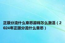 正版分流什么意思游戏怎么激活（2024年正版分流什么意思）