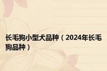 长毛狗小型犬品种（2024年长毛狗品种）