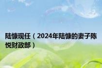 陆慷现任（2024年陆慷的妻子陈悦财政部）