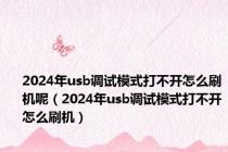 2024年usb调试模式打不开怎么刷机呢（2024年usb调试模式打不开怎么刷机）