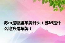 苏m是哪里车牌开头（苏M是什么地方是车牌）