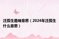 注孤生是啥意思（2024年注孤生什么意思）