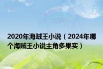 2020年海贼王小说（2024年哪个海贼王小说主角多果实）