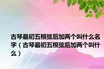 古琴最初五根弦后加两个叫什么名字（古琴最初五根弦后加两个叫什么）