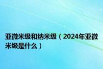 亚微米级和纳米级（2024年亚微米级是什么）