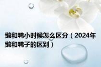 鹅和鸭小时候怎么区分（2024年鹅和鸭子的区别）