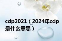 cdp2021（2024年cdp是什么意思）