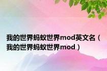 我的世界蚂蚁世界mod英文名（我的世界蚂蚁世界mod）