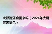 大野智还会回来吗（2024年大野智表情包）