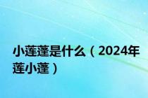 小莲蓬是什么（2024年莲小蓬）