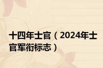 十四年士官（2024年士官军衔标志）