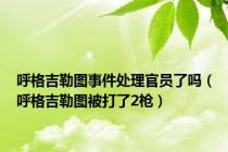 呼格吉勒图事件处理官员了吗（呼格吉勒图被打了2枪）