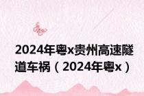 2024年粤x贵州高速隧道车祸（2024年粤x）