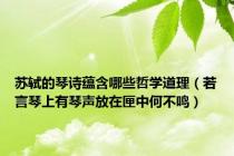 苏轼的琴诗蕴含哪些哲学道理（若言琴上有琴声放在匣中何不鸣）